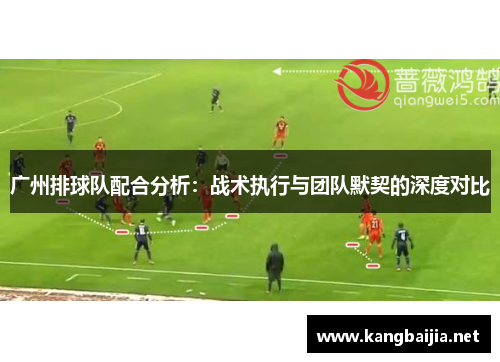 广州排球队配合分析：战术执行与团队默契的深度对比