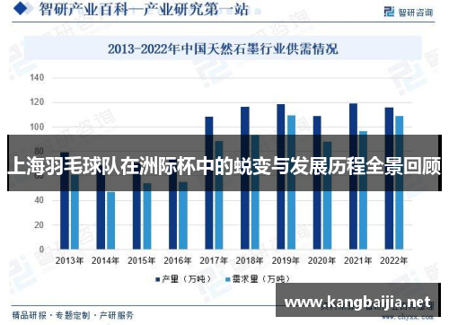 上海羽毛球队在洲际杯中的蜕变与发展历程全景回顾