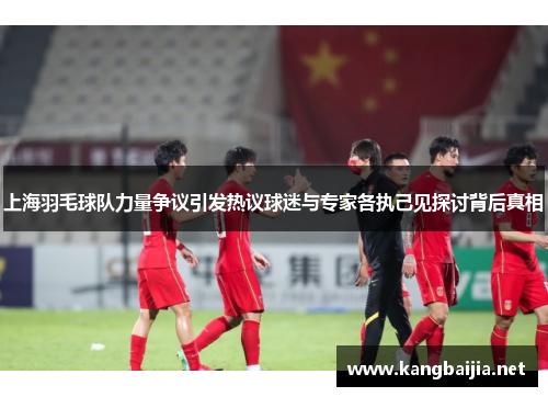 上海羽毛球队力量争议引发热议球迷与专家各执己见探讨背后真相