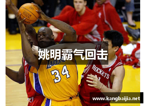 姚明霸气回击